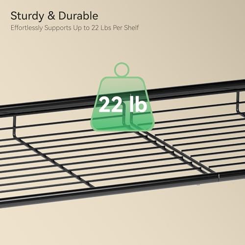 Shoe Rack Organizer with Storage Shelves and Spacious Top